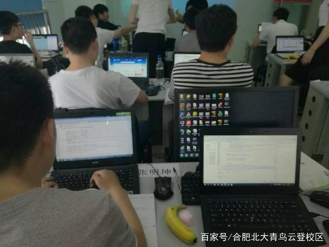 汽車維修與計(jì)算機(jī)軟件開發(fā) 職業(yè)前景的深度對比分析